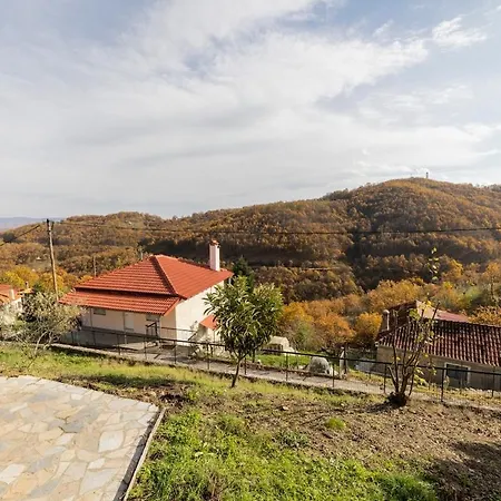 Lejlighed Galini Retreat Vlachava